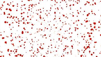 Animation of red confetti explosion. Design. Tine flying red particles background. video