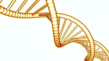 einfach rotierend DNA Kette auf Weiß Hintergrund. Design. Animation von einfach DNA Kette im Bewegung. medizinisch DNA Kette auf Weiß Hintergrund zum Präsentation video