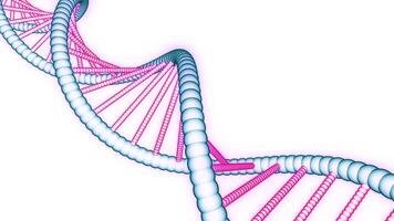 skön animering av dragen dna. design. färgrik enkel animering av dna kedja. roterande eleganta dna kedja på vit bakgrund för presentation video