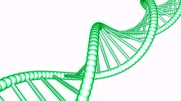 Simple rotating dna chain on white background. Design. Animation of simple dna chain in motion. Medical dna chain on white background for presentation video