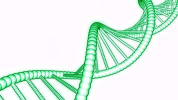 gemakkelijk roterend dna keten Aan wit achtergrond. ontwerp. animatie van gemakkelijk dna keten in beweging. medisch dna keten Aan wit achtergrond voor presentatie video