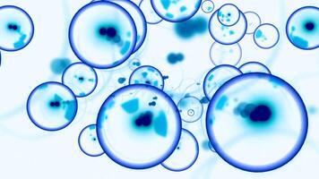 in movimento molecolare bolle con embrioni. design. bolle con infezione mossa nel flusso di corpo. animazione di in movimento carico molecole nel spazio video