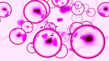 Bubbles with nucleus in molecular stream. Design. Molecular cells with embryos move in stream. Bubbles of molecules with disease inside move in space video