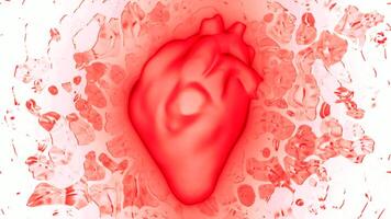 Humain cœur battre , coronaire circulation. mouvement. science et santé en relation 3d animation. video