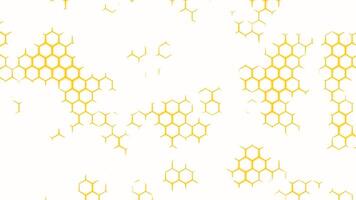 abstrakt Hintergrund mit Hexagon Formen. Design. Fragment von Plastik Bienenwabe Nachahmung. video
