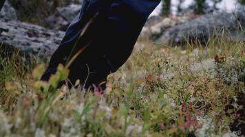 scarpa avvicinamento arriva nel muschio. clip. un' turista passeggiate attraverso un autunno palude coperto di vegetazione con muschio con pietre nel il sfondo video