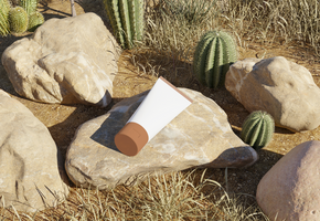 Foto Attrappe, Lehrmodell, Simulation von Schönheit kosmetisch Tube Produkt im das Wüste psd