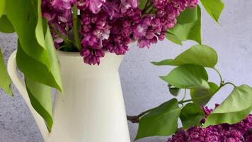 Bündel von Frühling lila lila Blumen im ein Vase video