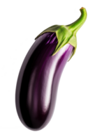 aubergine geïsoleerd Aan transparant achtergrond png