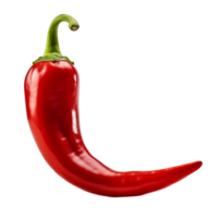chili pepper isolated on transparent background png