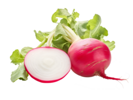 radish isolated on transparent background png