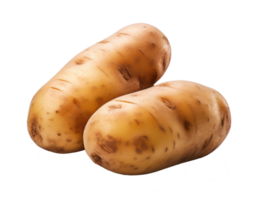 potato isolated on transparent background png