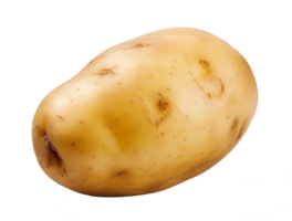 potato isolated on transparent background png