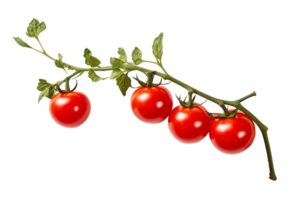 cereja tomate isolado em transparente fundo png