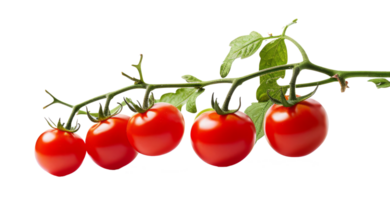 Cerise tomate isolé sur transparent Contexte png