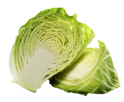 cabbage isolated on transparent background png