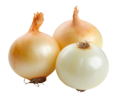 onions isolated on transparent background png