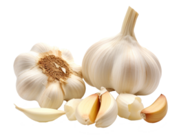 Knoblauch isoliert auf transparent Hintergrund png