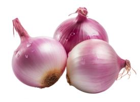 red onions isolated on transparent background png