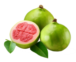 guava isolerat på transparent bakgrund png