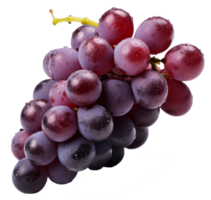 grape isolated on transparent background png