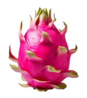 dragonfruit isolated on transparent background png