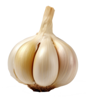 Knoblauch isoliert auf transparent Hintergrund png