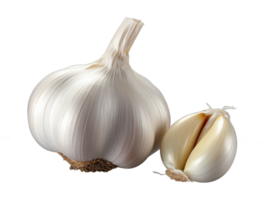 Knoblauch isoliert auf transparent Hintergrund png