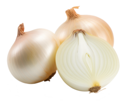 onions isolated on transparent background png