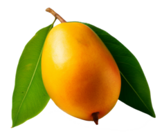 mango isolated on transparent background png