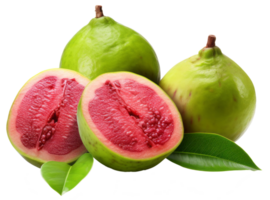 Guave isoliert auf transparent Hintergrund png