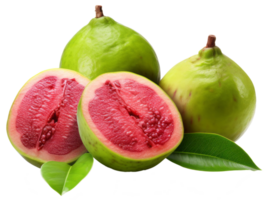 guava isolerat på transparent bakgrund png