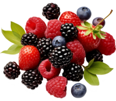 mix berry on transparent background png