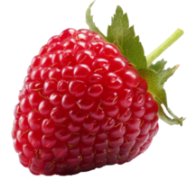 raspberry on transparent background png