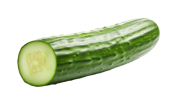 Pepino aislado en transparente antecedentes png