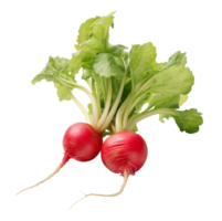 radish isolated on transparent background png