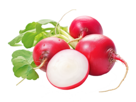 radish isolated on transparent background png