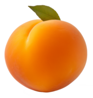 apricot isolated on transparent background png