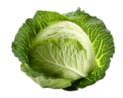 cabbage isolated on transparent background png