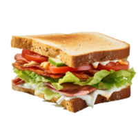 sandwich meat cheese and vegetables with transparent background png