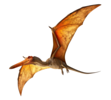 Pteranodon dinosauro isolato su trasparente sfondo png