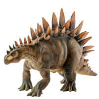 Stegosaurier Dinosaurier isoliert auf transparent Hintergrund png