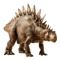 Stegosaurier Dinosaurier isoliert auf transparent Hintergrund png