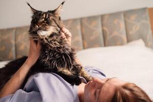 un sereno momento como un mujer mentiras espalda en un cama, acariciando un majestuoso Maine mapache gato foto