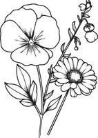 Birth flower illustration, beautiful sweet pea and daisy flower wall decor, hand-drawn coloring pages sweet pea flower drawing of artistic pea engraved ink art, sweet pea flower tattoo designs vector