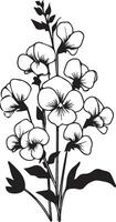 Black and white floral illustrations with leaves and flowers for decorating or coloring pages, modern and minimalist, aprile birth flower sweet pea and daisy flower drawing, April birth flower colorin vector