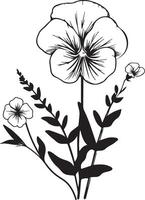 Sweet Pea and Daisy Line Art. Sweet Pea outline Illustration. April Birth Month Flower. Sweet Pea flower outline isolated on white. Hand-painted line art botanical illustration. vector