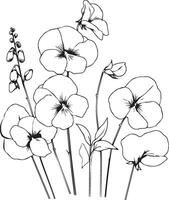 Birth flower sweet flwoer doodle bouquet of flower design for card or print. hand-painted sweet pea flowers illustration isolated on white backgrounds, engraved ink art floral coloring pages vector