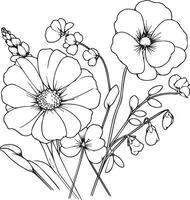 Birth month flower sweet pea stock outline drawings, sweet pea flowers, and daisy line art, April birth month flower coloring pages, sweet pea flower botanical illustrations vector