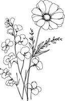 illustration hand drawn pencil sketch, a branch of botanical collection simplicity, artistic, coloring book for children and adults, fantasy sweet pea wall decor, sweet pea flower doodle vector